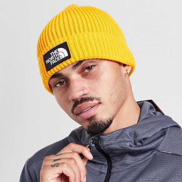 The North Face Čepice Tnf Logo Box Cuf Bne Winter Cap